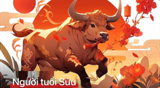 Qua đêm nay (24/1/2025), 3 con giáp Chính Quan tương trợ, Phát Tài Phát Lộc