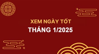 Tết Nguyên đán Ất Tỵ 2025: Ngày đẹp mở hàng lấy may, ngày tốt khai Xuân hút lộc, ngày lành xuất hành bình an