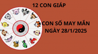 Tử vi ngày 28/1 con số may mắn cho 12 con giáp cơ hội đổi đời giàu sang, vàng bạc thu vào két