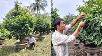 9x Bến Tre kiếm tiền tỷ mỗi năm nhờ bí kíp trồng cây cảnh độc đáo