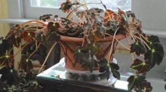 5 thứ càng tích trữ càng khiến gia đình nghèo khó không ngóc nổi đầu dậy