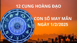 Tử vi ngày 1/2 con số may mắn mang cơn mưa vàng tài lộc cho 12 chòm sao cơ hội đầu năm phát tài