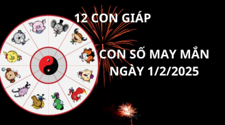 Tử vi ngày 1/2 con số may mắn thuận đường tài lộc hốt vàng bạc giàu sang cho 12 con giáp