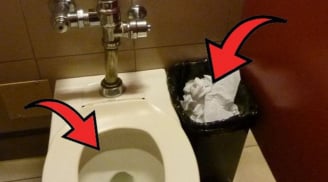 Nên vứt giấy vệ sinh vào bồn cầu hay thùng rác? Cách nào là tốt nhất?