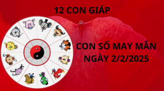 Tử vi ngày 2/2 con số may mắn thần tài che chở ban lộc giàu sang cho 12 con giáp