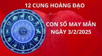 Tử vi ngày 3/2 con số may mắn dẫn lối 12 cung hoàng đạo gặp cơn mưa vàng tài lộc đầu năm
