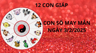 Tử vi ngày 3/2 con số may mắn tổ tiên cho quà thần tài ban lộc cho 12 con giáp khởi sự giàu sang