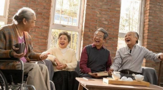 Đến khi trưởng thành, ai rồi cũng nhận ra: Anh em ruột không còn là người một nhà