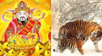 Hết tam tai được sao tốt chiếu mệnh: 4 con giáp quyền quý khắp nơi, đạt đỉnh giàu sang năm Tỵ 2025