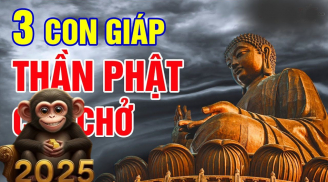 3 con giáp Phật độ Trời thương, ăn ở hiền lành một đời vinh hiển