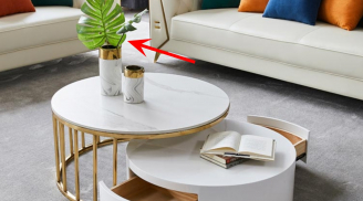 Đặt 3 thứ này trên bàn uống nước, gia chủ quanh năm khó khăn