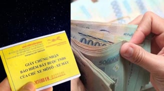 Doanh thu bảo hiểm xe máy bắt buộc đạt hơn 730 tỉ và bồi thường hơn 28 tỉ, người dân sẽ không phải mua?
