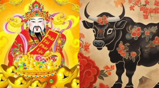 Top 3 con giáp đứng đầu tài lộc trong tháng 2: Kiếm tiền như nước, cả năm thịnh vượng giàu sang
