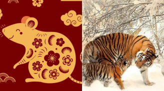 Đúng 0h ngày vía Thần Tài (10/1): 3 con giáp mở cửa là giẫm lên tiền, lộc bất tận hưởng, đại cát đại lợi
