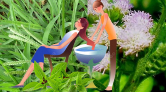 Nhanh tay bứt nắm lá đầy ngoài đường về gội đầu giúp tóc mượt chống rụng chống gàu giảm bết, ai cũng khen đẹp