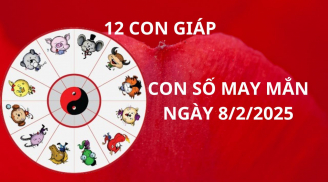 Tử vi ngày 8/2 con số may mắn Thần tài tặng cho 12 con giáp tay trái hứng vàng tay phải nhặt bạc