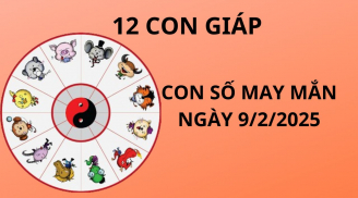 Tử vi ngày 9/2 con số may mắn cho 12 con giáp cơ hội nhặt vàng hốt bạc nhà trời làm giàu nhanh chóng