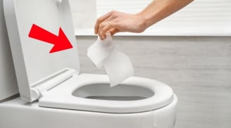 Bỏ một mẩu giấy vào bồn cầu trước khi đi vệ sinh, mẹo nhỏ nhưng ai cũng được lợi lớn