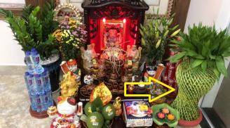 3 loại cây trồng trong phòng khách hút lộc: Đặt trên bàn thờ Tiền vào như nước, nhà giàu nào cũng có 1 cây