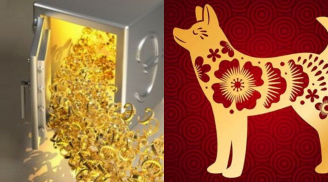 Khổ trước sướng sau: 3 con giáp sau tuổi 45 Tình-Tiền-Tài dư thừa, sống giàu sang viên mãn