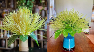 Rằm tháng Giêng đừng chỉ cúng hoa cúc, có 5 loại hoa vừa thơm vừa quý nên đặt lên bàn thờ