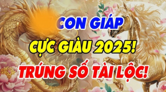 Chuông Vàng đã điểm: 4 con giáp phát Tài phát Lộc, thu tiền ngập két trong tháng 3/2025