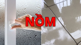 Nhà nồm ẩm đừng bật quạt hay mở toang cửa: Chỉ cần làm cách này nhà khô ngay trong 10 phút