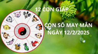 Tử vi ngày 12/2 con số may mắn Thần tài chỉ điểm cho 12 con giáp cơ hội đổi đời giàu sang