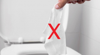 Có nên xả giấy vệ sinh xuống bồn cầu hay không? Đến nay nhiều người vẫn làm sai