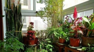 Đừng đặt 3 thứ này ở ban công, dễ bệnh tật, gặp xui xẻo, tài lộc thất thoát
