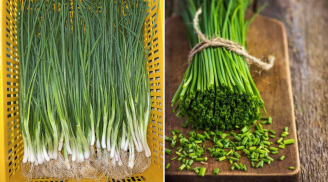 Hành lá mua về bảo quản theo cách này, để cả tháng vẫn tươi ngon, không mất mùi thơm