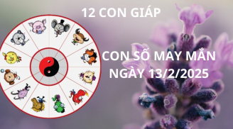 Tử vi ngày 13/2 con số may mắn cho 12 con giáp cơ hội nhận ơn trên thu vàng hút bạc, tiền đầy két