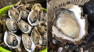 Hàu là thực phẩm giàu dinh dưỡng nhưng có 6 nhóm người không nên ăn
