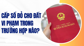 Năm 2025: 4 trường hợp đất vi phạm được cấp Sổ Đỏ người dân nên biết kẻo mất quyền lợi