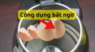 Đập nhỏ vỏ trứng cho vào ấm siêu tốc, công dụng bất ngờ nhà ai cũng cần