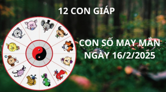 Tử vi ngày 16/2 con số may mắn hút vàng hút bạc cho 12 con giáp gặp thời giàu sang đỉnh nóc kịch trần