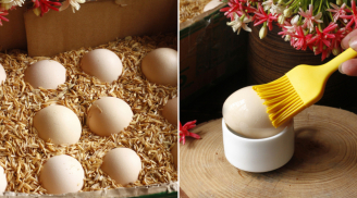 Bảo quản trứng không cần tủ lạnh, dùng cách này, để cả tháng trứng vẫn tươi ngon