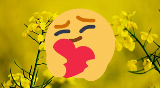 Top 3 cung hoàng đạo khó khăn vẫn tươi cười, lương thiện được trời thương, nửa đời sau giàu sang nhiều phúc