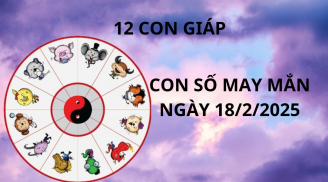 Tử vi ngày 18/2 con số may mắn gánh vàng hốt bạc cho 12 con giáp trúng lớn đổi đời sau 1 đêm