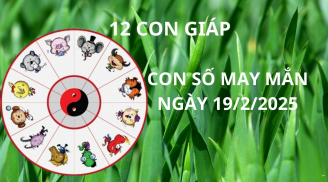 Tử vi ngày 19/2 con số may mắn cho 12 con giáp nhận lộc tổ tiên qua đêm trúng lớn đổi vận giàu sang