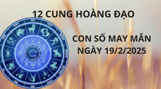 Tử vi ngày 19/2 con số may mắn nhà trời xả lộc cho 12 chòm sao nhanh chân hứng vàng hứng bạc về nhà