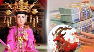 20 ngày tới: 3 tuổi Thánh Cô cho lộc, đầu tư thắng đậm, phất lên dễ dàng
