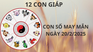 Tử vi ngày 20/2 con số may mắn cho 12 con giáp tiền vào như nước, giàu sụ bất ngờ