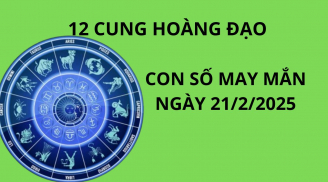 Tử vi ngày 21/1 con số may mắn cho 12 chòm sao nhận lộc bất ngờ, tiền đè giàu sụ