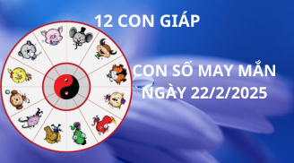 Tử vi ngày 22/2 con số may mắn Thánh Mẫu ban lộc, 12 con giáp nhanh chân thì hốt vàng gánh bạc