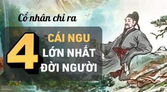 Ở đời có 4 cái ngu, 'dính 1/4' thôi cũng khó yên, là những cái ngu nào?