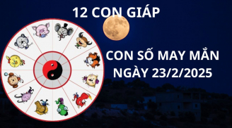 Tử vi con số may mắn Thần tài phát lộc cho 12 con giáp khéo chọn thì hốt vàng gánh bạc về két