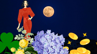 Cộng tất cả chữ số trong ngày tháng năm sinh ra số này, chúc mừng bạn mệnh lớn phúc dày, càng già càng giàu