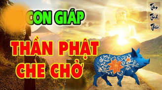 3 con giáp may mắn có Phật Bà bảo vệ, cả đời gặp Hung sẽ hóa Cát Lành