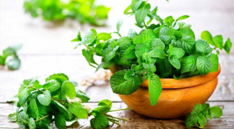 3 loại cây trồng trong nhà bếp vừa làm cảnh đẹp, vừa có thể ăn, lại lọc không khí, hút khí độc